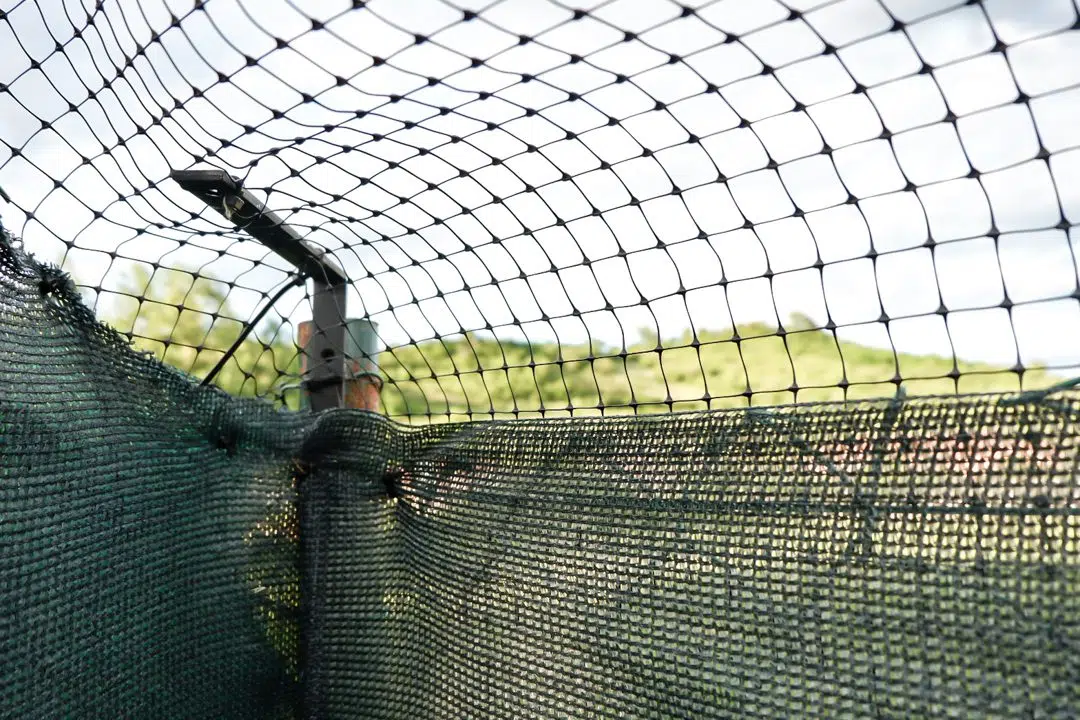 Cat fence step 11